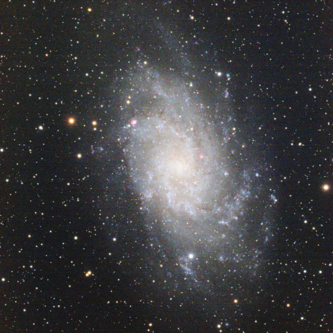M33（さんかく座銀河）