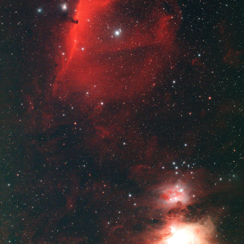 M42から馬頭星雲へ