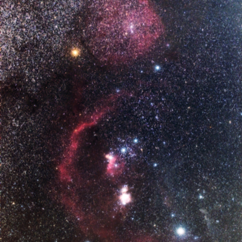 バーナードループとエンゼルフィッシュ星雲