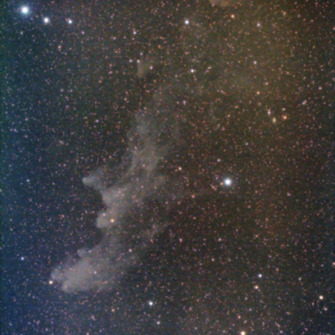 魔女の横顔星雲 (IC2118)