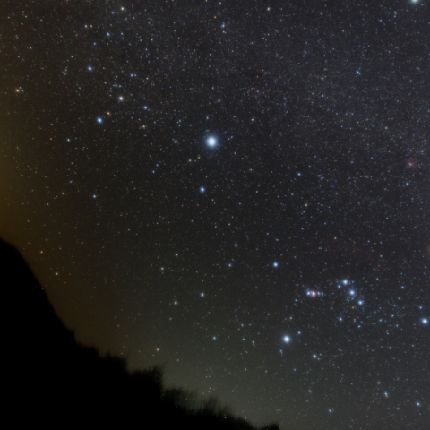 西に傾くオリオン 追いかけるおおいぬ