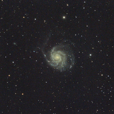 M101（回転花火銀河）
