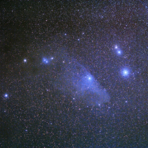 青い馬首星雲 IC4592