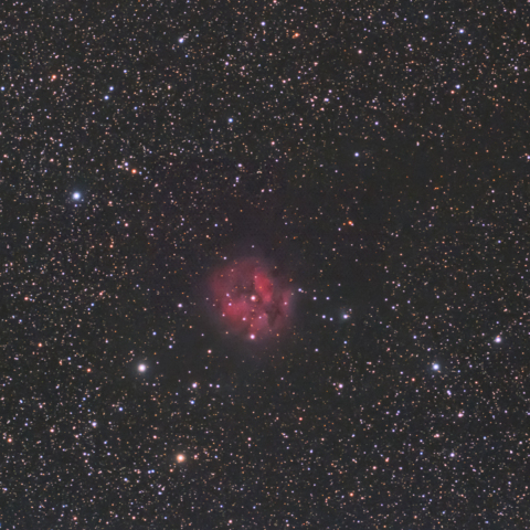 まゆ星雲（IC5146）