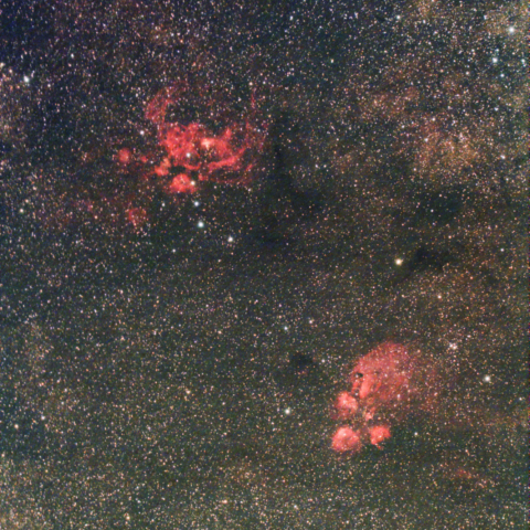 彼岸花(NGC6357)・出目金(NGC6334)星雲