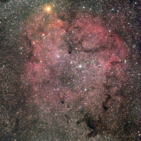 IC1396（ケフェウス座散光星雲）