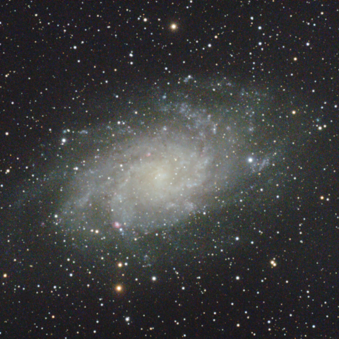 M33