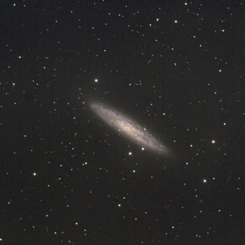 NGC253 (ちょうこくしつ座銀河）