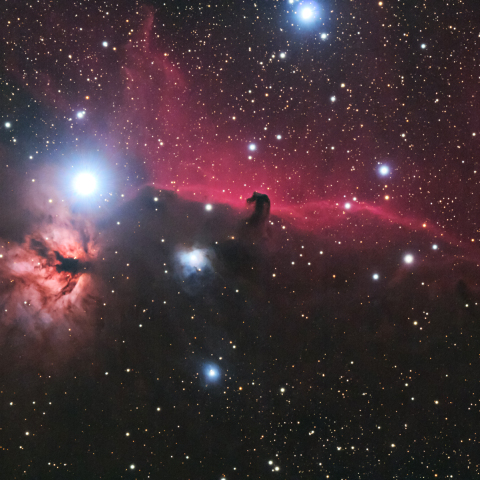 馬頭星雲(IC434)・燃える木星雲(NGC2024)