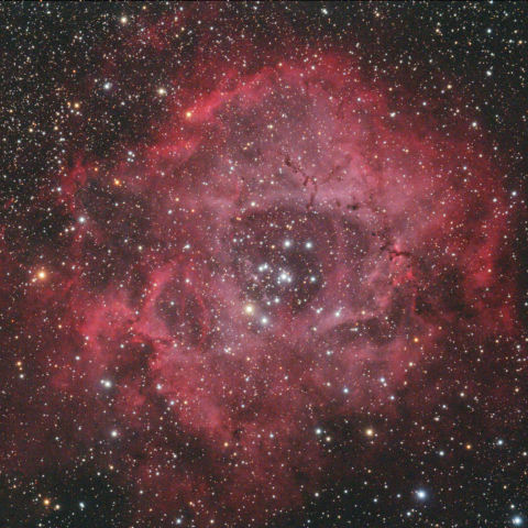 バラ星雲（NGC2237）