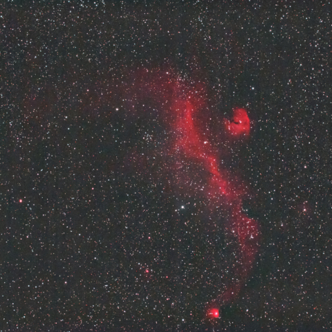 カモメ星雲（IC2177(翼）＆ NGC2327(頭))