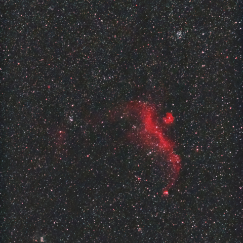 カモメ星雲 M50 トールの兜星雲