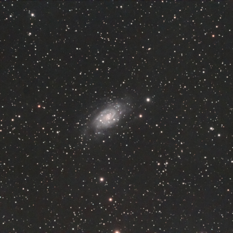 NGC2403 （キリン座銀河）