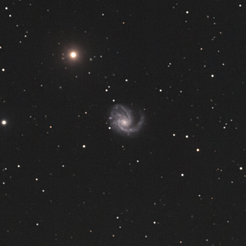 M99（かみのけ座銀河）