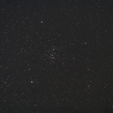 M44 (プレセペ星団)