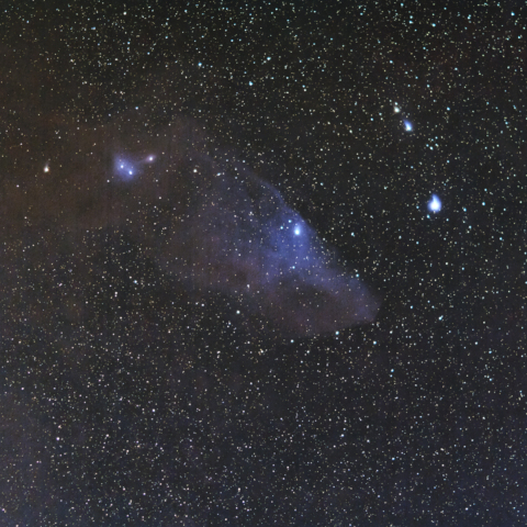 青い馬頭星雲
