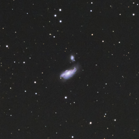まゆ銀河(NGC4490)
