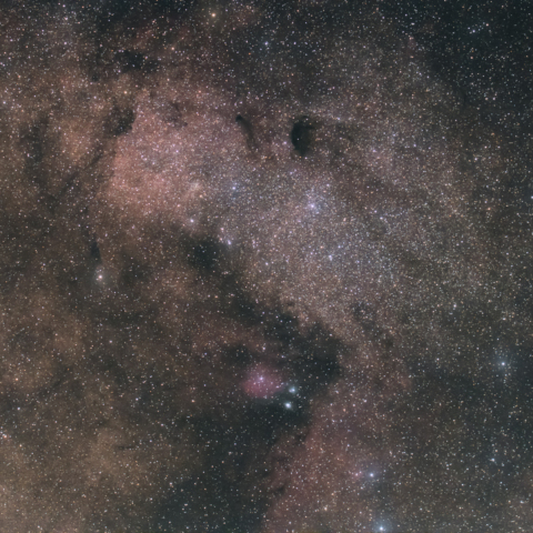 バンビの横顔星雲