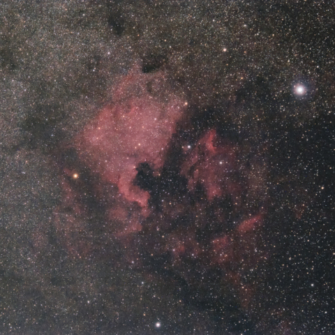 北アメリカ ペリカン星雲