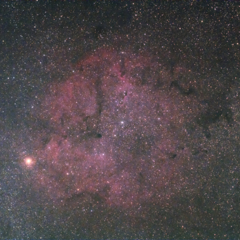 IC1396