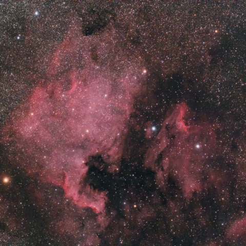 北アメリカ・ペリカン星雲