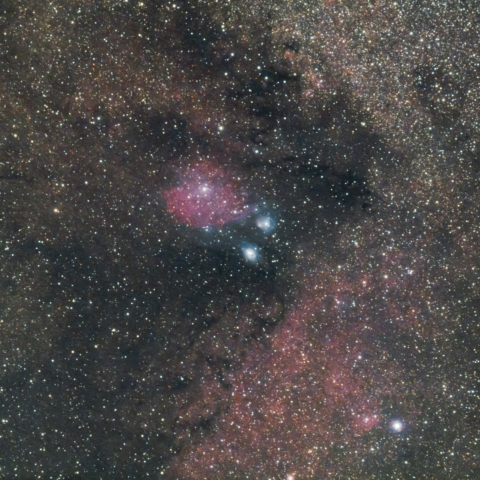 バンビの首飾り