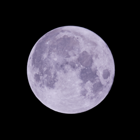 中秋の名月 2022