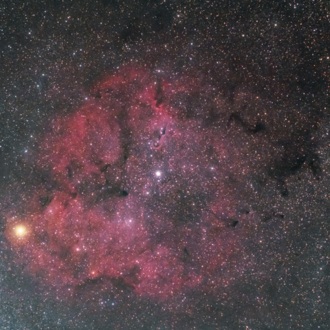 IC1396