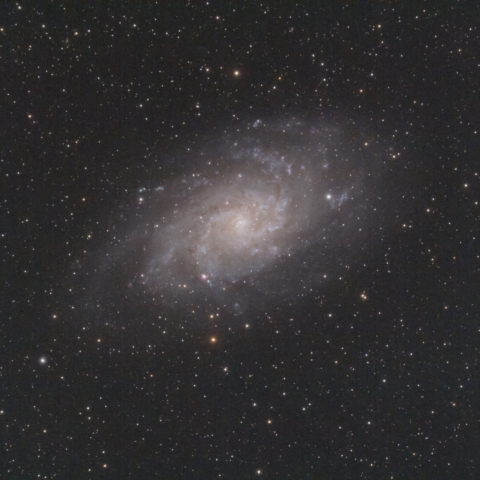 M33 