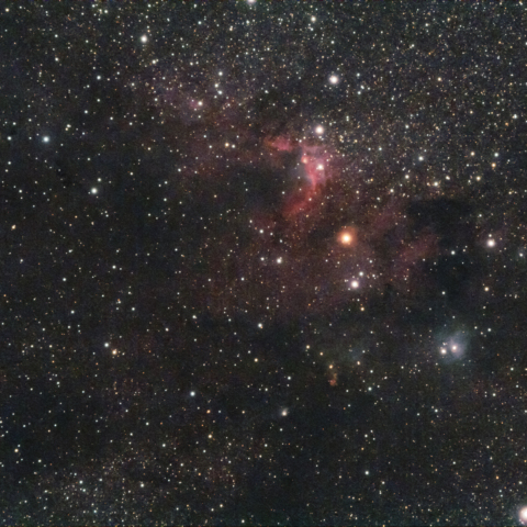 洞窟星雲(Sh2-155 ケフェウス座)