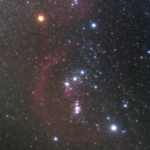 オリオン座　エンゼルフィッシュとバーナードループ