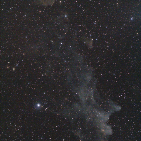 魔女の横顔星雲