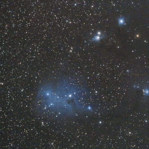 カタツムリ星雲（IC2169）