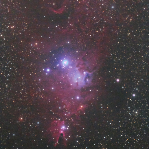 クリスマスツリー星団