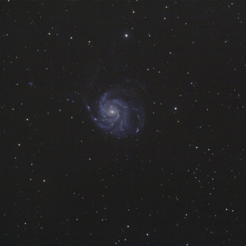 M101 (回転花火銀河）
