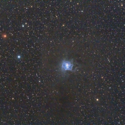NGC7023（アイリス星雲）