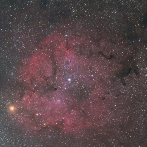 IC1396