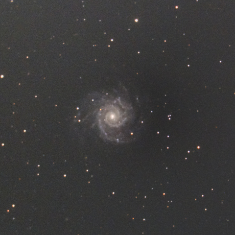 M74
