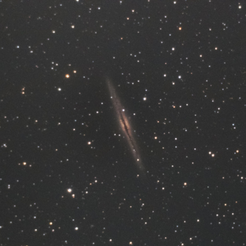NGC891