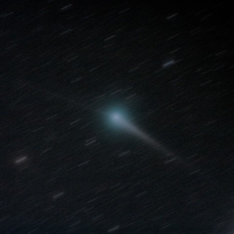 C/2015V2 ジョンソン彗星