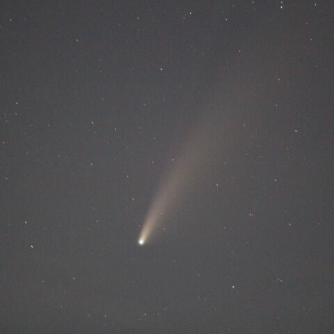 ネオワイズ彗星