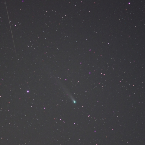 ラブジョイ彗星とふたご座流星群