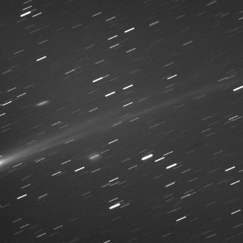 ISON彗星　H25.11.14