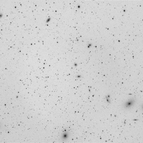 マルカリアン・チェーン