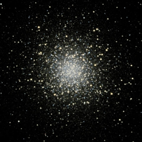 M13