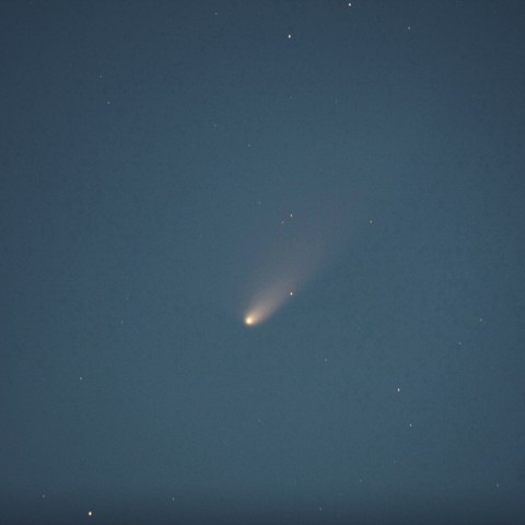 賞味期限ぎりぎりパン