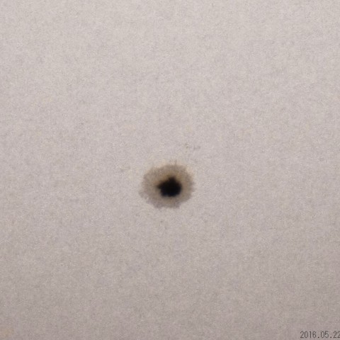 太陽黒点