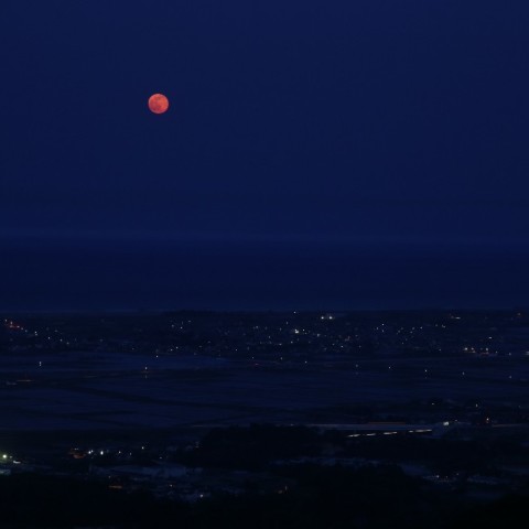 赤い月