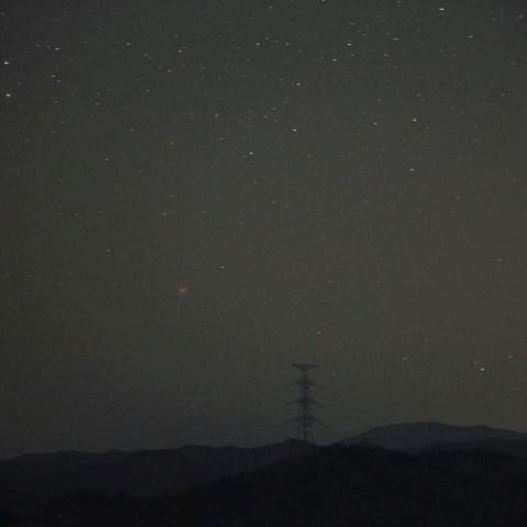 かえるのたまご