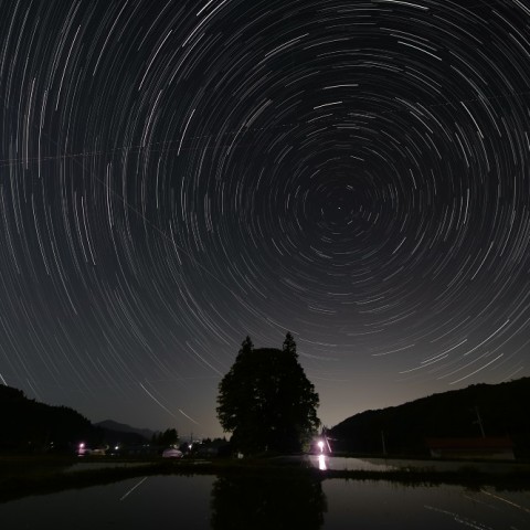 今年のぐるぐるトトロ